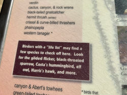 "Life List" Bird Watching