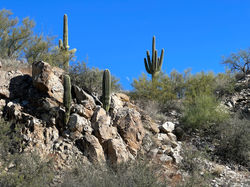 Honey Bee Canyon Park
