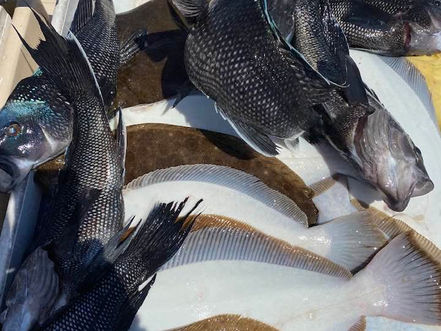 July 27th Fishing Report