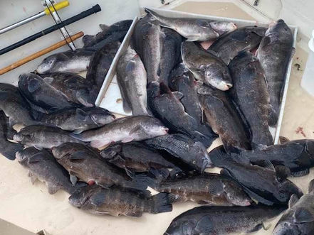 Oct 28 Fishing Report
