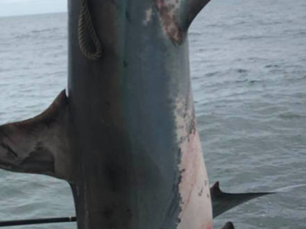July 19 Fishing Report
