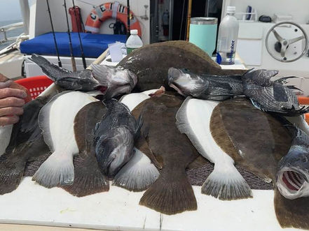 July 19th Fishing Report