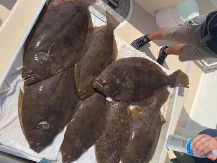 Aug 23 Fishing Report