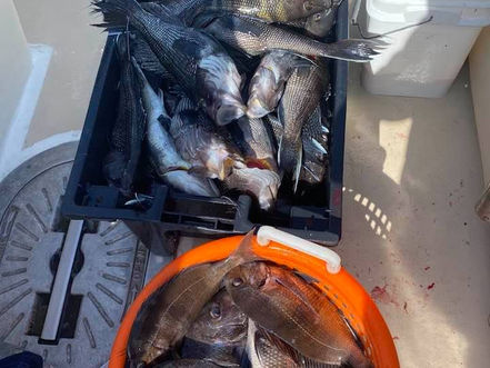 Sept 13 Fishing Report