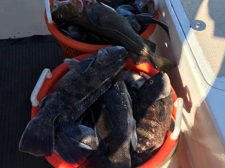 Dec 16th Fishing Report