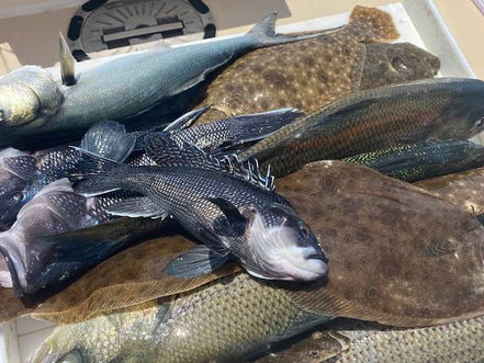 July 15 Fishing Report