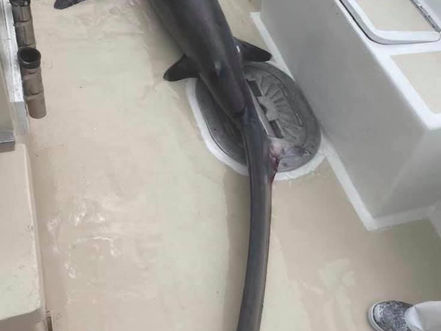 July 24 Fishing Report