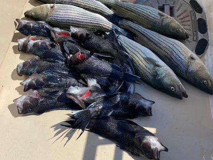July 23rd Fishing Report