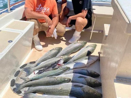 June 25th Fishing Report