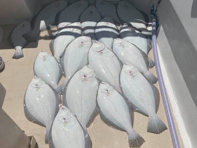 Aug 20 Fishing Report