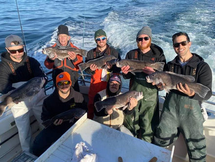 Now Booking Fall/ Winter Block Island Blackfish, Sea Bass & Cod Trips!