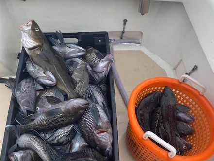 Oct 21 Fishing Report