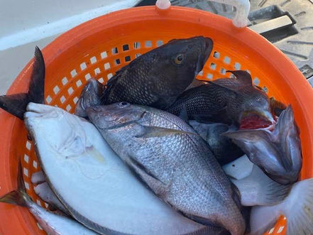 Aug 26th Fishing Report