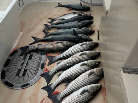 June 9th Fishing Report