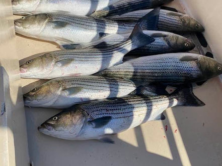 June 26th Fishing Report