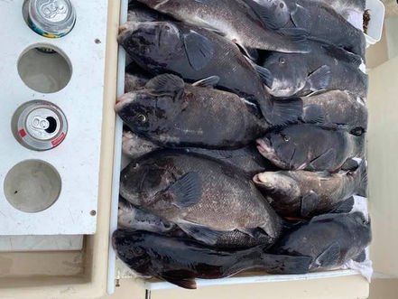 Oct 24 Fishing Report