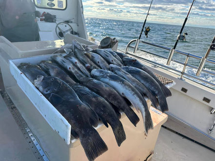 Nov 11th Fishing Report
