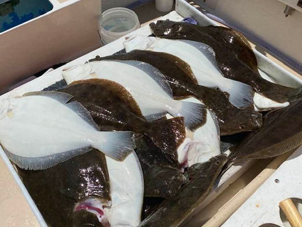 July 8th Fishing Report
