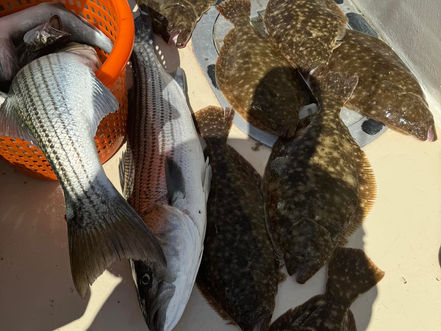 June 13th Fishing Report