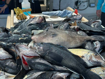 August 3rd Fishing Report