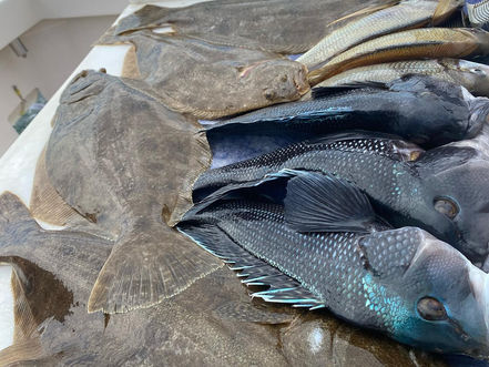 July 29th Fishing Report