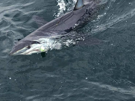 June 28 Fishing Report