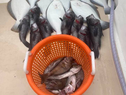 Aug 19 Fishing Report