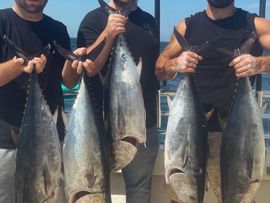 Aug 3rd Fishing Report