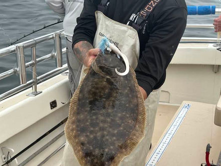 Sept 9 Fishing Report