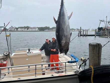 My Joyce Fishing Montauk - Sept 20th Fishing Report - Giant Tuna!