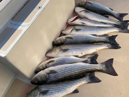Oct 9 AM Fishing Report