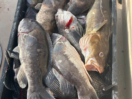 Nov 25th Fishing Report