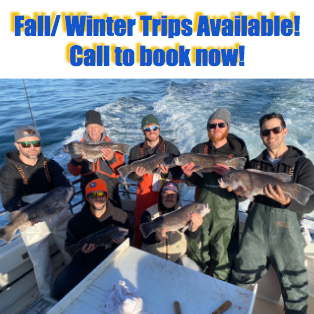Fall/ Winter Trips Available!