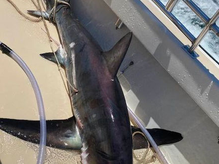July 7th Fishing Report