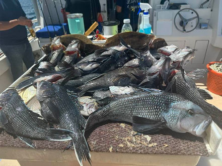 July 22nd Fishing Report