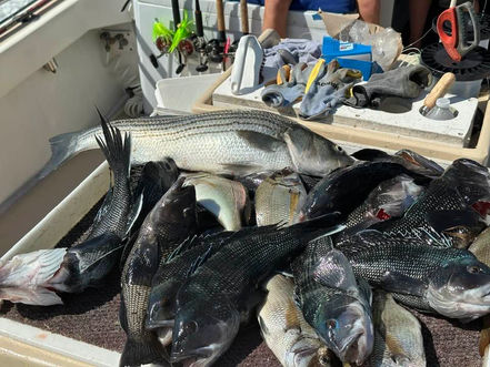 July 31st Fishing Report