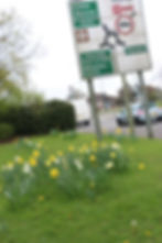 Daffs Greenroad Roundabout