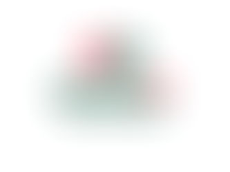 SOCCEREX SEES PORTUGAL AS 'MARKET LEADER'