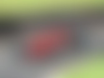 The BHC heads to Shelsley Walsh Hill Climb this weekend