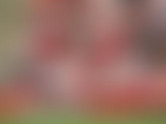 ROBERT PIRES AT THE ARSENAL VS REAL MADRID LEGENDS MATCH