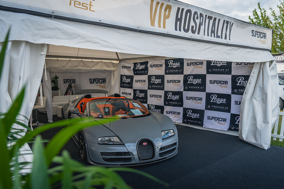 VIP Hospitality 2027