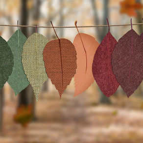 🍂 Helo Hydref! / Hello Autumn!🍂