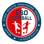 Limoges_Football_Logo_edited.jpg
