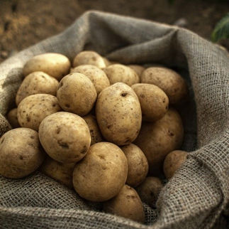 Marieme : transformer l’amour en action