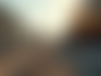 General Contracting Essentials: The Complete Flagship Guide for Homeowners and Business Owners