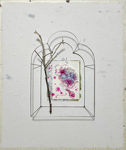寒緋桜