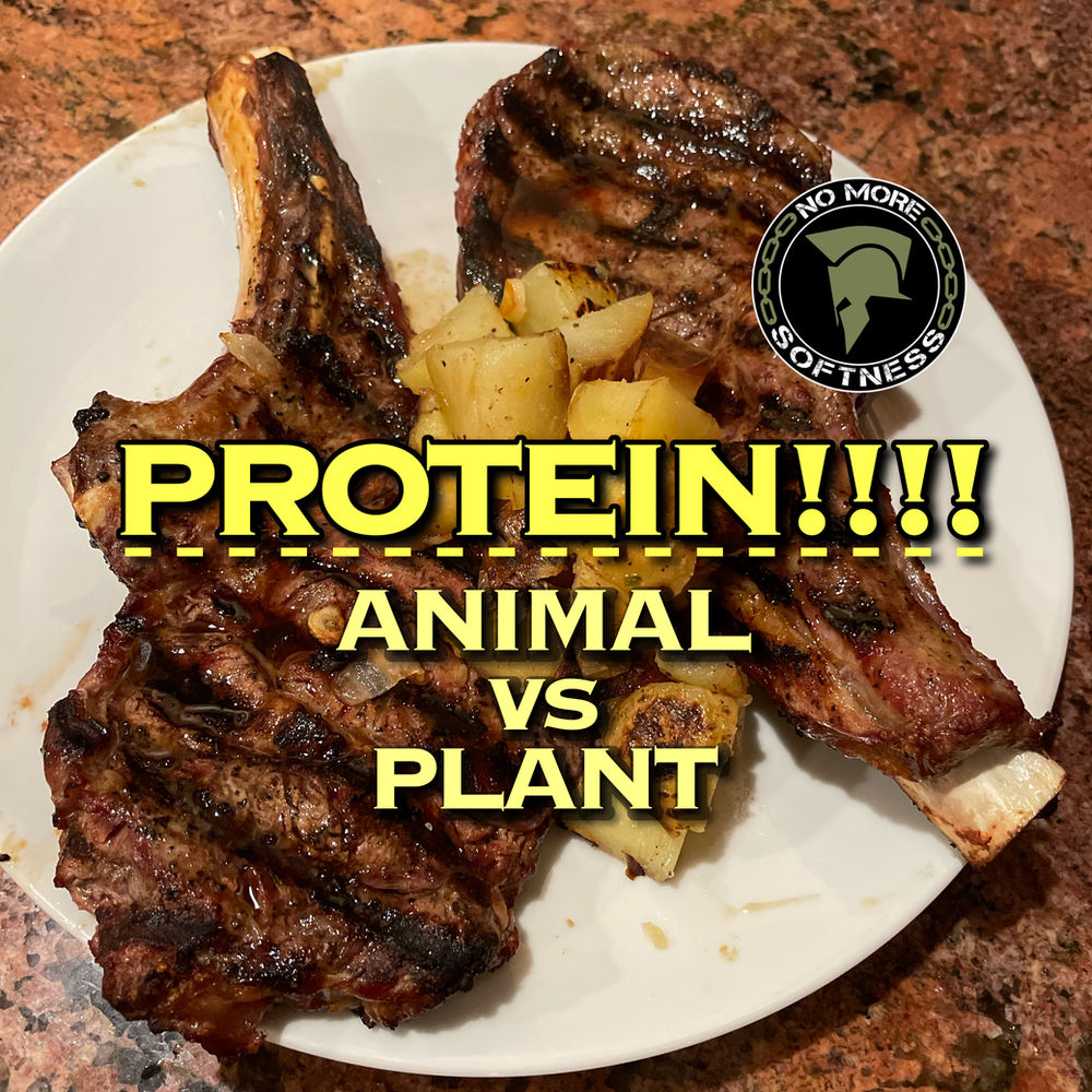 the-key-difference-between-plant-vs-animal-protein