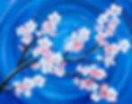 Cherry Blossoms