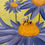 Thumbnail: Paint Party "To-Go" - 3 DAISIES AND A BEE