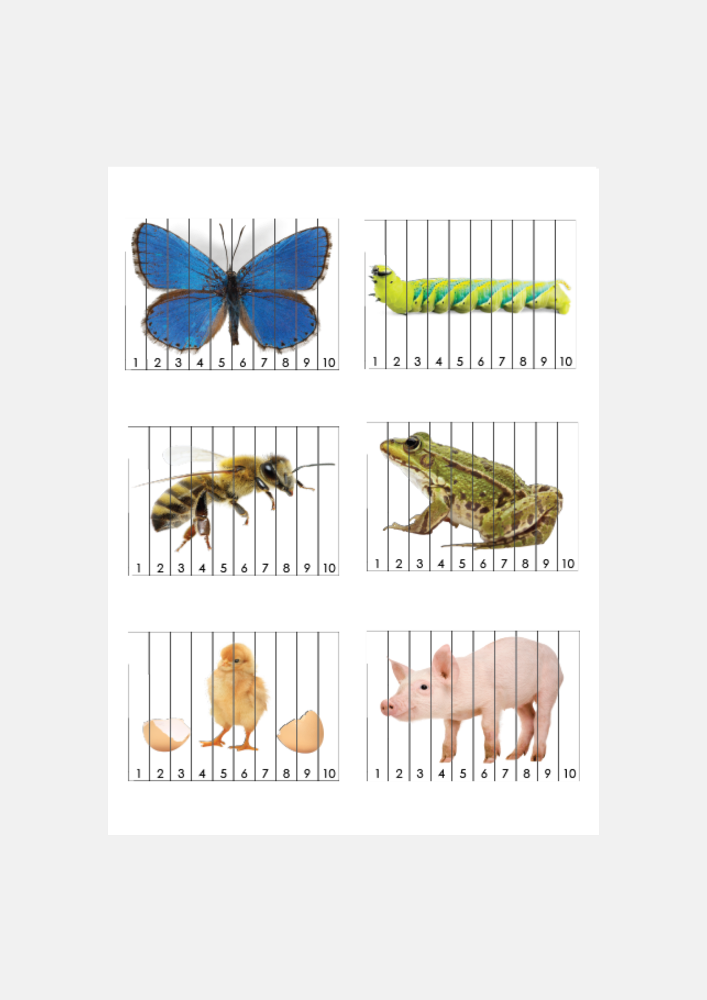 Spring Animals and Insects Counting Puzzles